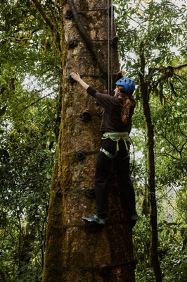 Woman climbing a tree