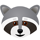 raccoon